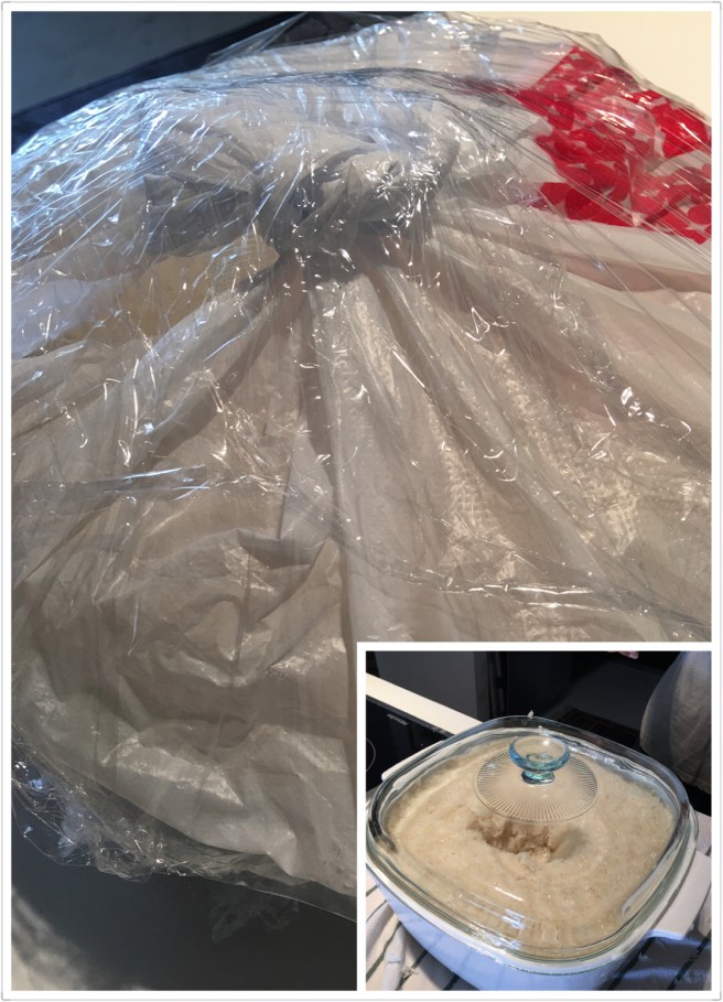 photo-16-2-17-10-43-16-pm-1